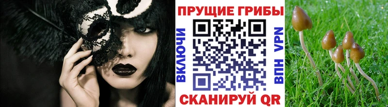 Купить  Белоярский  Псилоцибиновые грибы прущие грибы 